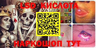 мдпв Кингисепп