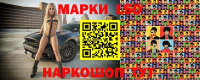 мдпв Кингисепп