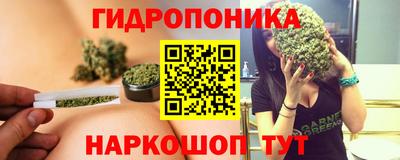 мдпв Кингисепп