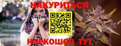 гидра Кимры