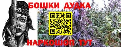 мдпв Кингисепп