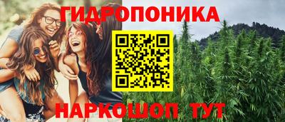 мдпв Кингисепп