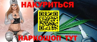 мдпв Кингисепп