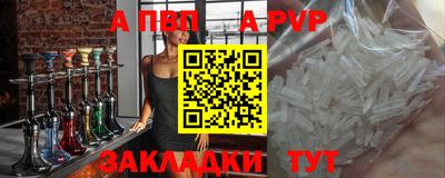 мдпв Кингисепп