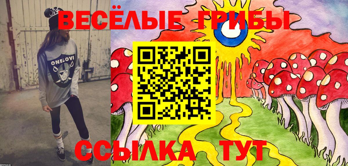 Псилоцибиновые грибы MAGIC MUSHROOMS  купить наркотики сайты  Псилоцибиновые грибы ЛСД  Краснознаменск  Вход с VPN 